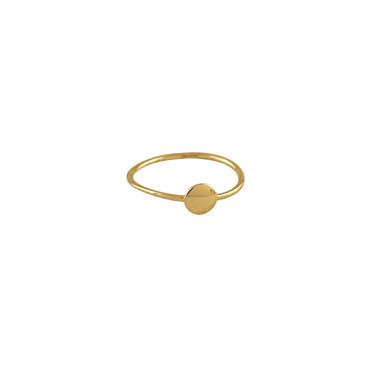 Flat Disc Signet Ring in 18K gold-filled, view 4