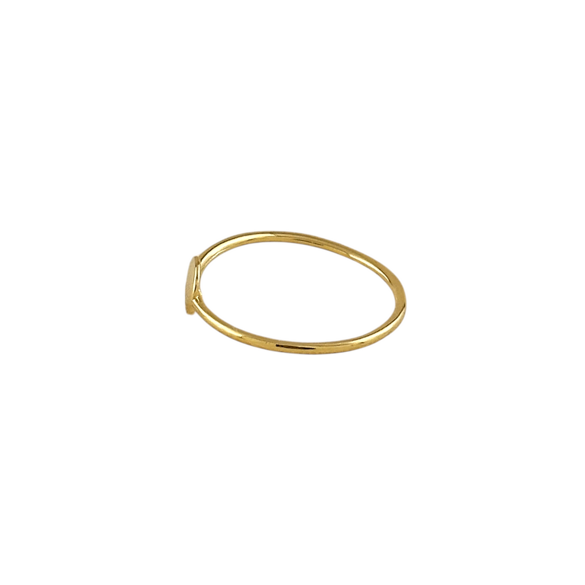 Flat Disc Signet Ring in 18K gold-filled, view 6