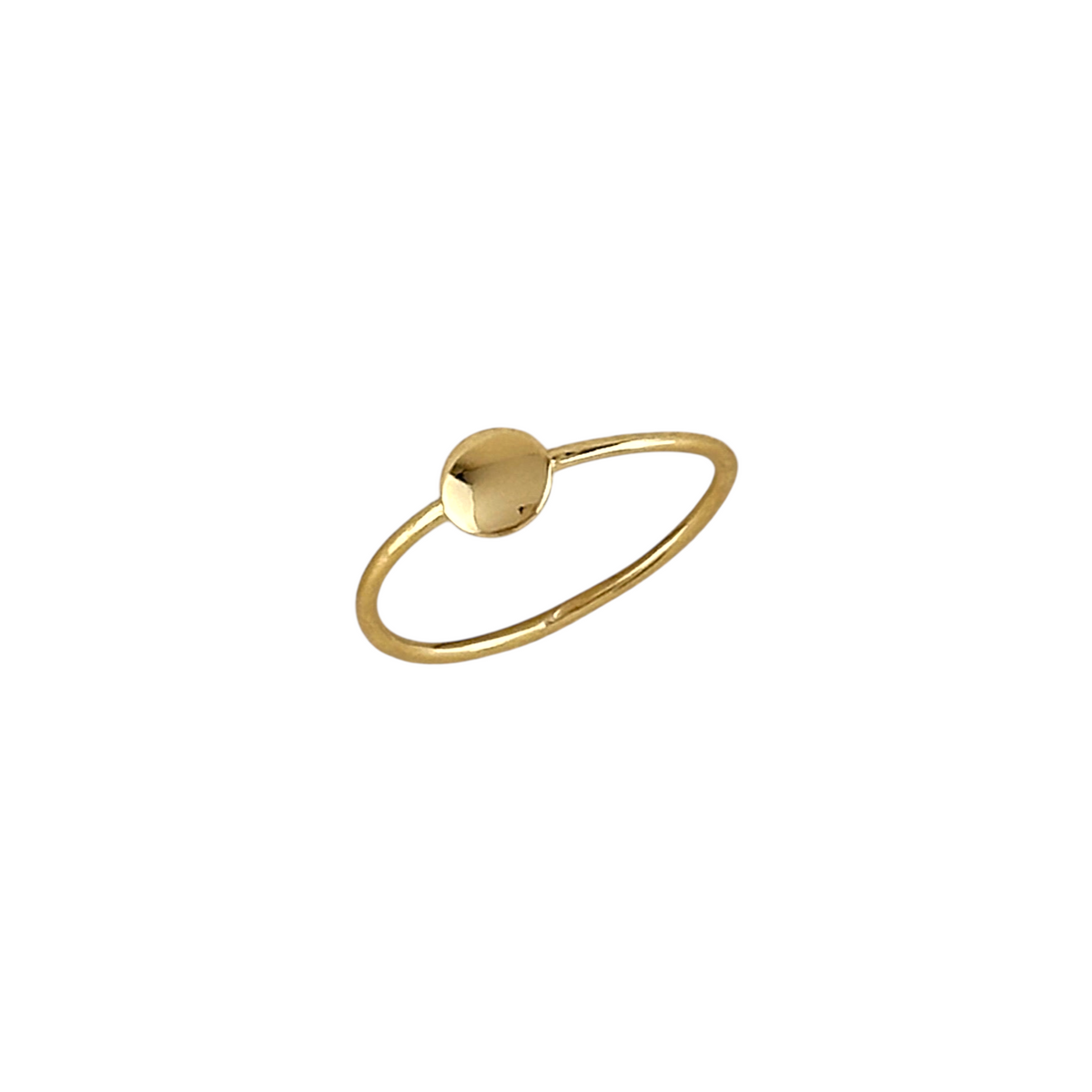 Flat Disc Signet Ring in 18K gold-filled, view 8