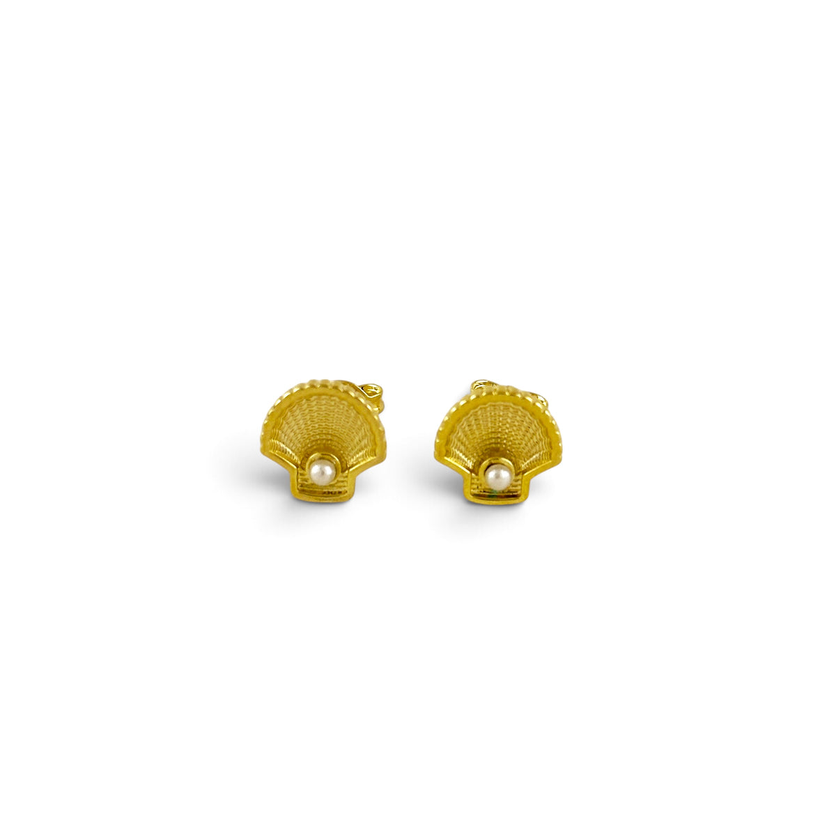 Scalloped Shell Pearl Stud on White Background