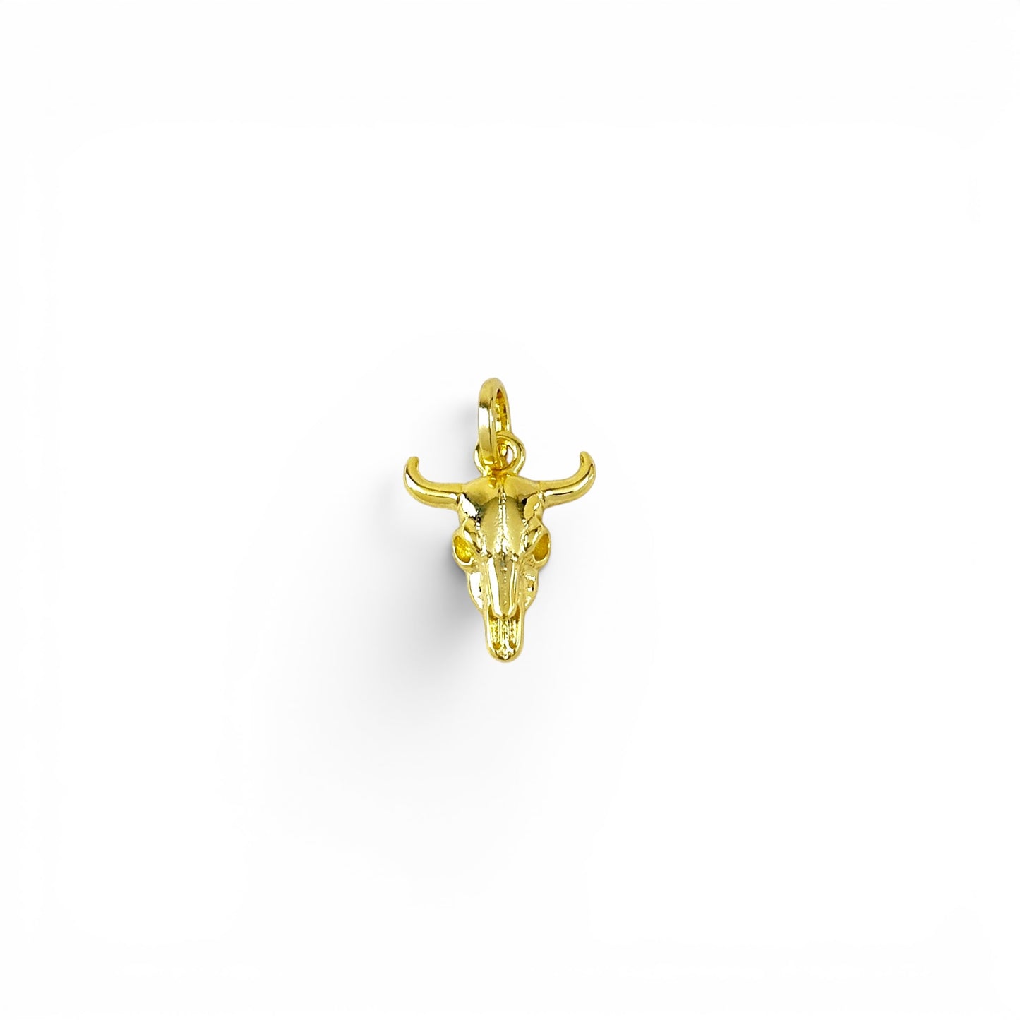Western Skull 18mm 18K Gold Filled Charm