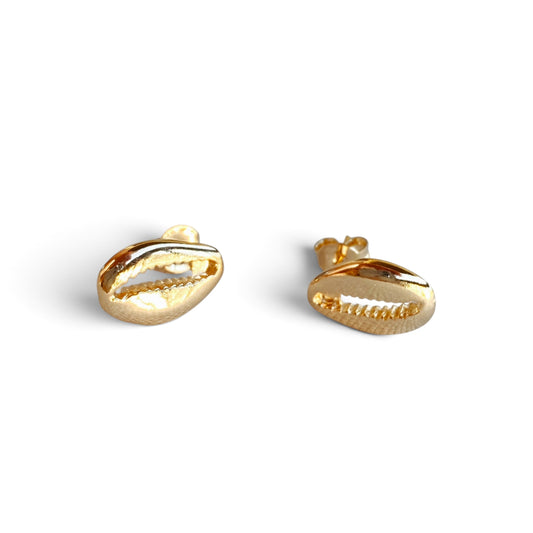 Cowrie Shell 18K Gold Filled Stud Earrings