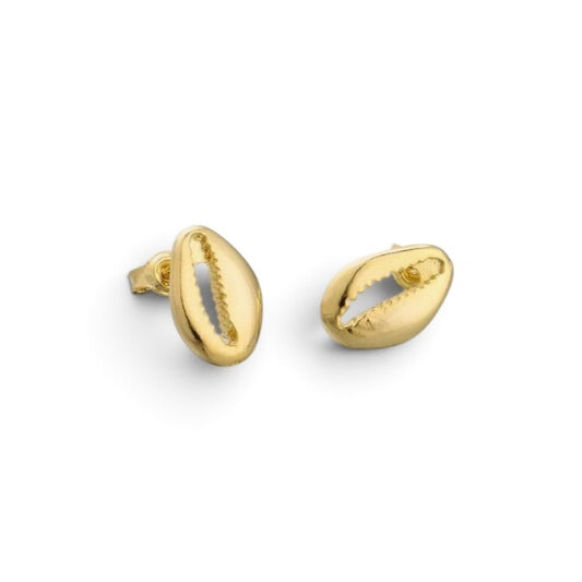 Cowrie Shell 18K Gold Filled Stud Earrings