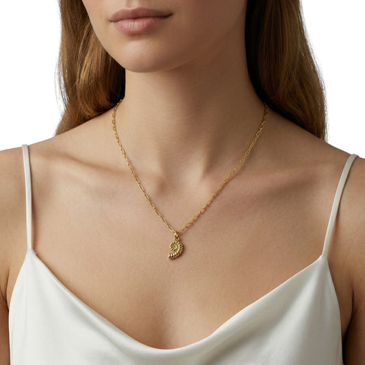 Sundial shell charm styled on model