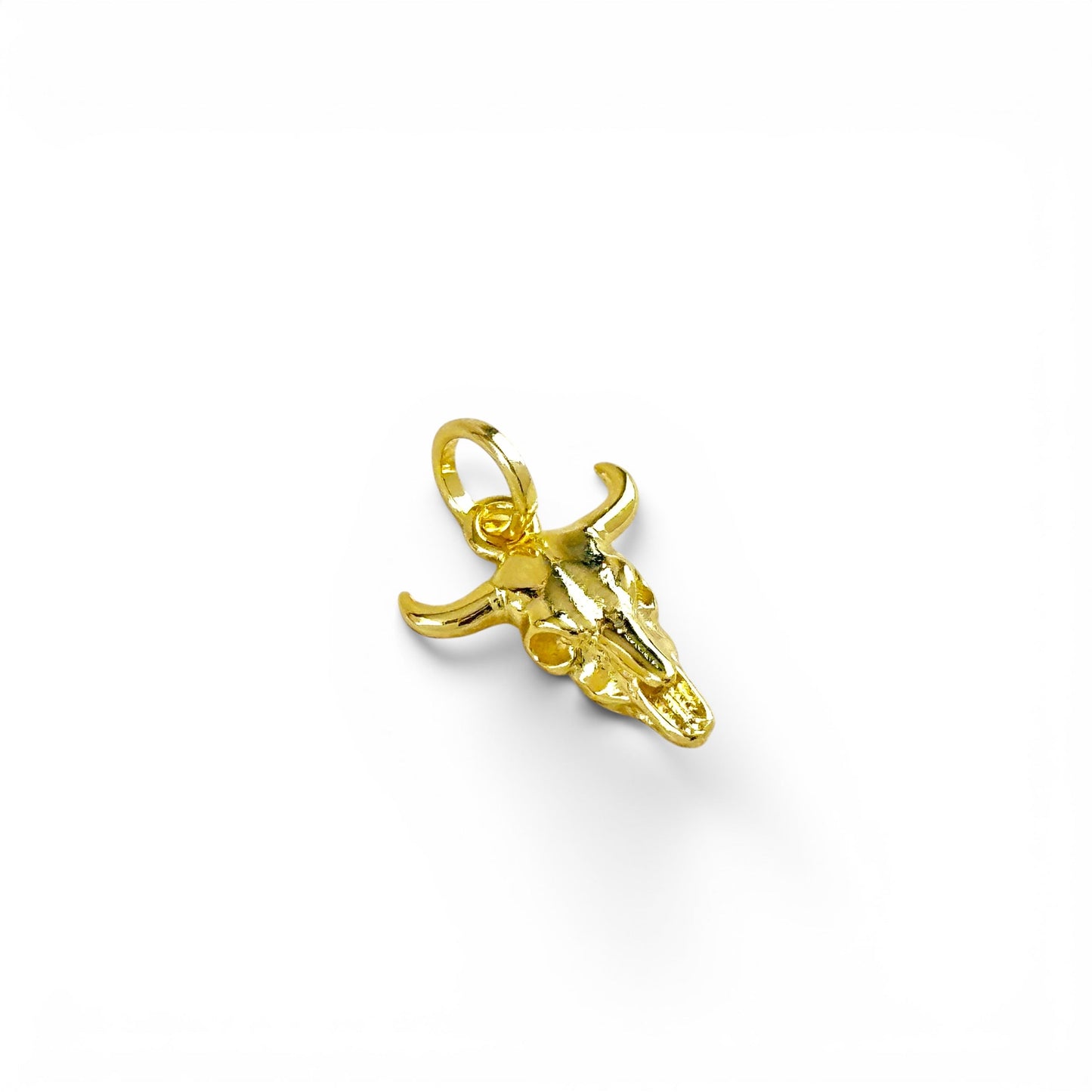 Western Skull 18mm 18K Gold Filled Charm