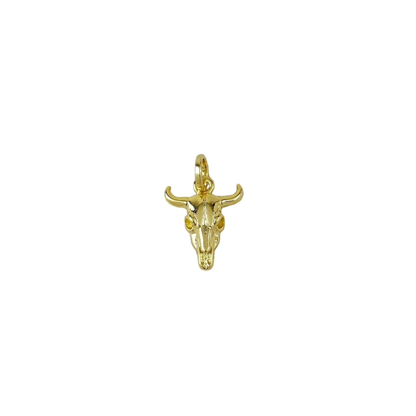 Western Skull 18mm 18K Gold Filled Charm