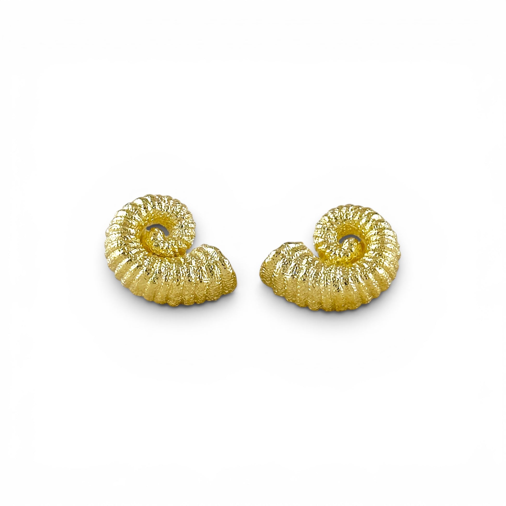 Close-up of ridged nautilus spiral texture stud earrings