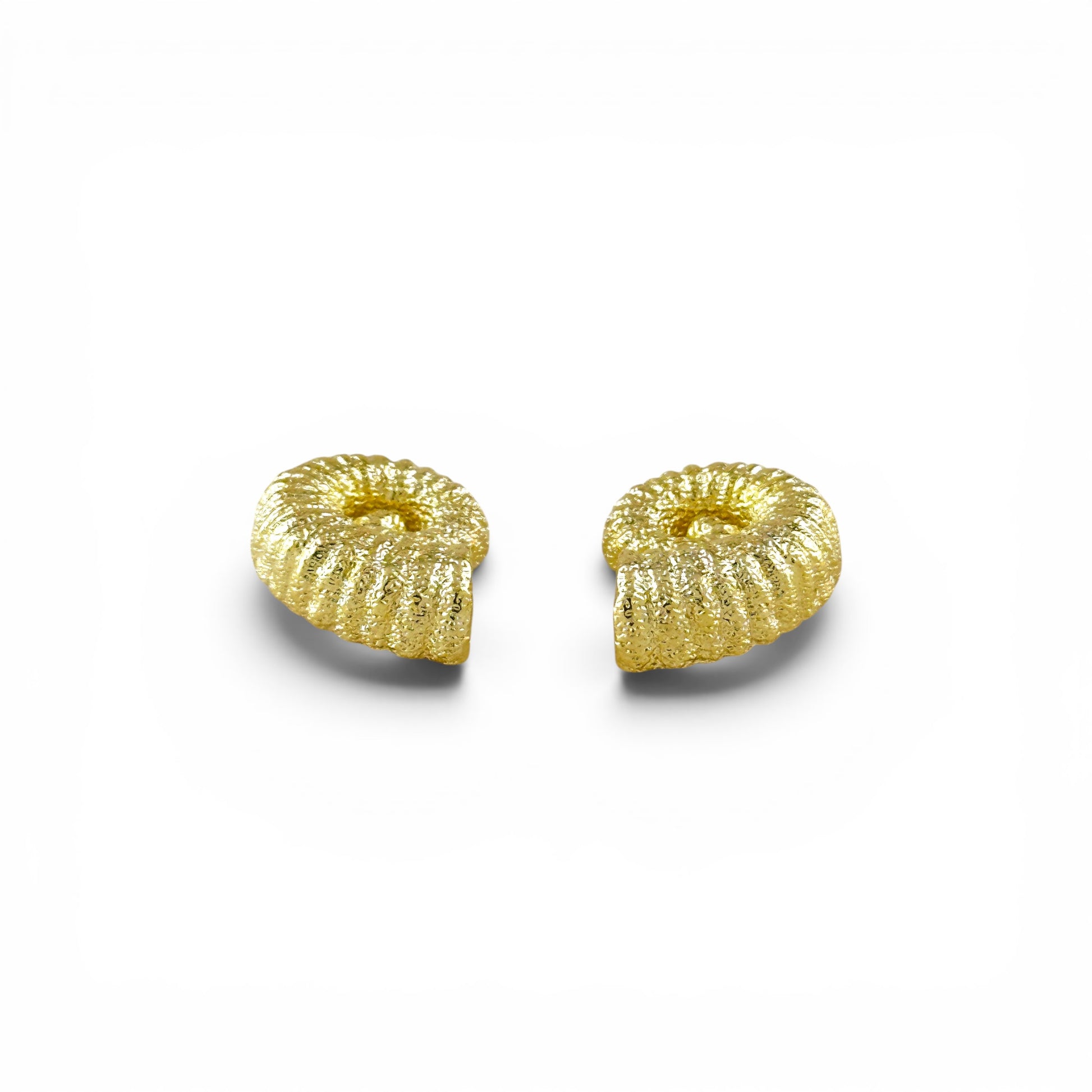 18K Gold Filled nautilus studs showing radiating pattern