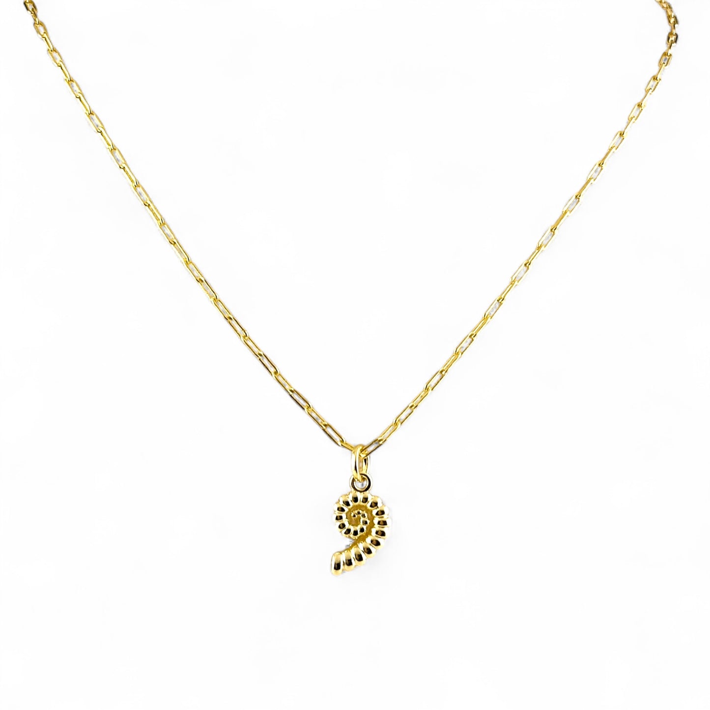 sundial shell charm chain necklace