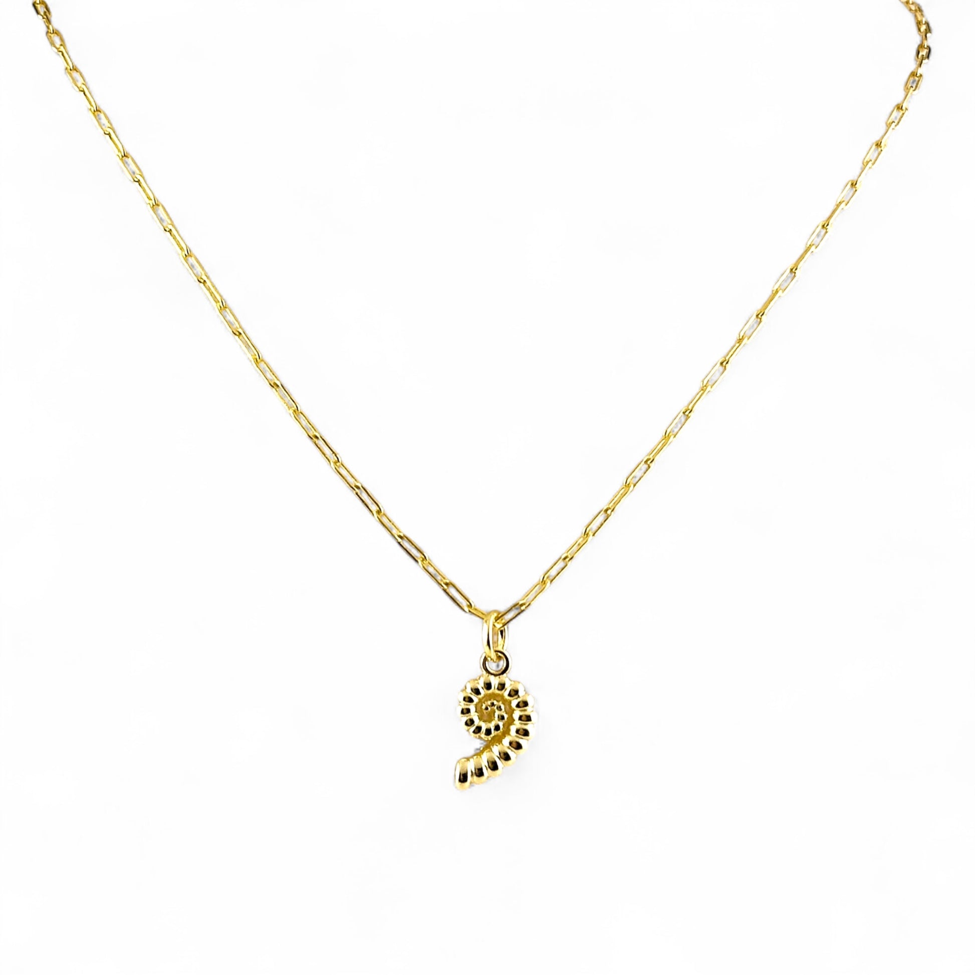 sundial shell charm chain necklace